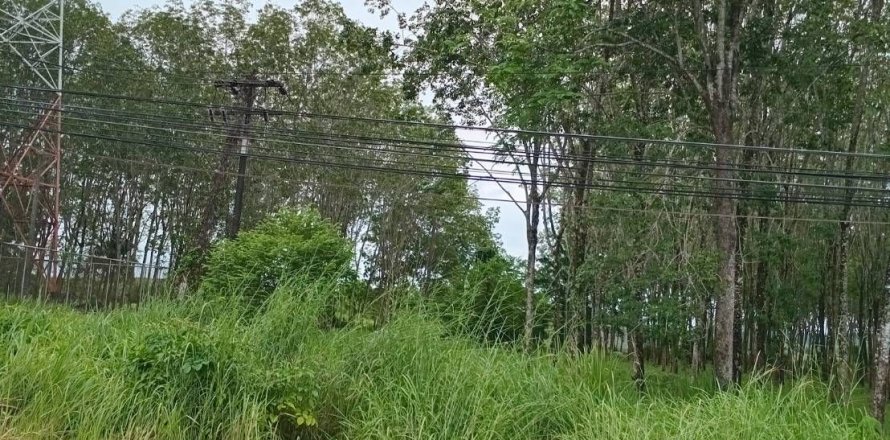 Земельный участок в Паклоке, Таиланд 68800м2  № 164293