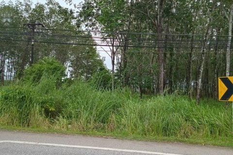 Земельный участок в Паклоке, Таиланд 68800м2  № 164293 - фото 2