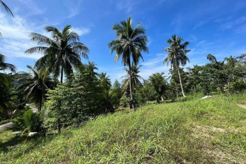 Земельный участок в Сураттхани, Таиланд 4200000м2  № 137142 - фото 15