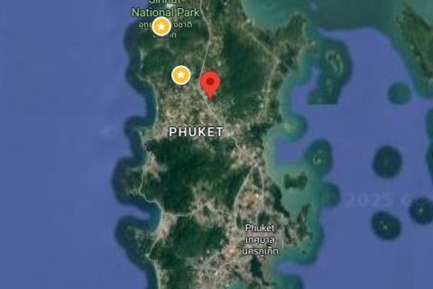 Земельный участок в Пхукете, Таиланд 62893.4м2  № 151951 - фото 9