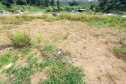 Земельный участок в Самуи, Таиланд 800м2  № 152818 - фото 3