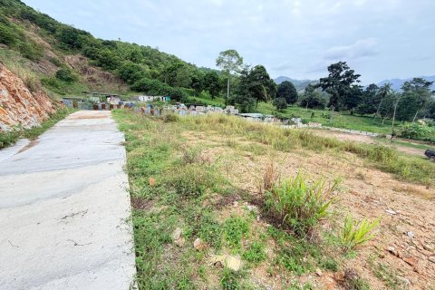 Земельный участок в Самуи, Таиланд 800м2  № 152818 - фото 2