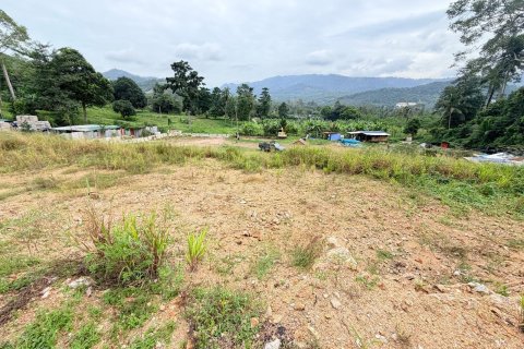 Земельный участок в Самуи, Таиланд 800м2  № 152818 - фото 6
