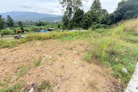 Земельный участок в Самуи, Таиланд 800м2  № 152818 - фото 4
