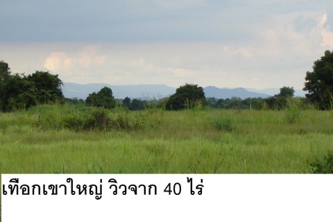 Land in Kabin Buri, Thailand 64000 sq.m. № 139967 - photo 9