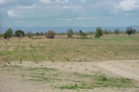 Land in Kabin Buri, Thailand 64000 sq.m. № 139967 - photo 8