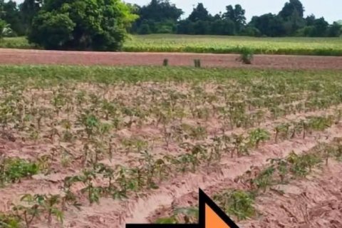 Terrain à Nakhon Ratchasima, Thaïlande 20800 m2 № 141260 - photo 4