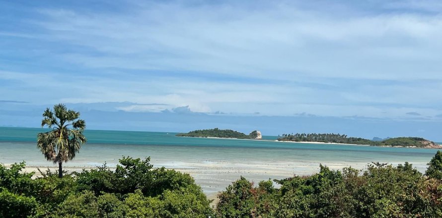 Land in Ko Samui, Thailand 3200 sq.m. № 160275
