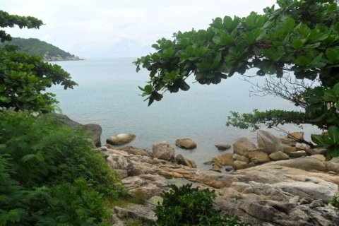 Land in Surat Thani, Thailand 6400 sq.m. № 160280 - photo 3