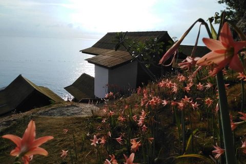 Land in Surat Thani, Thailand 6400 sq.m. № 160280 - photo 2