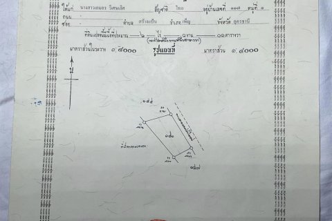 Land in Udon Thani, Thailand 46400 sq.m. № 169550 - photo 4