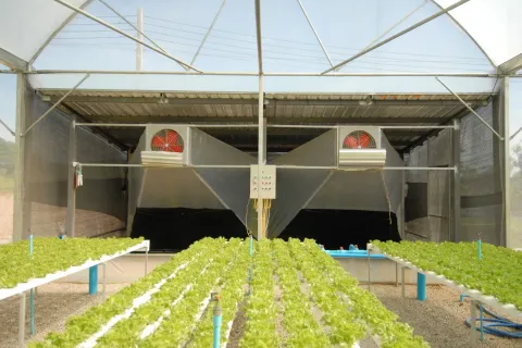 Land in Wang Saphung, Thailand 56000 sq.m. № 136919 - photo 28