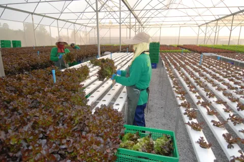 Land in Wang Saphung, Thailand 56000 sq.m. № 136919 - photo 17