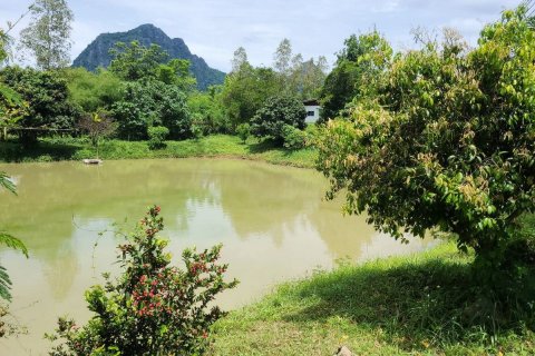 Land in Wang Saphung, Thailand 56000 sq.m. № 136919 - photo 3
