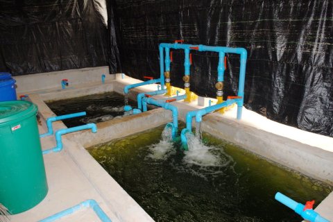 Land in Wang Saphung, Thailand 56000 sq.m. № 136919 - photo 24