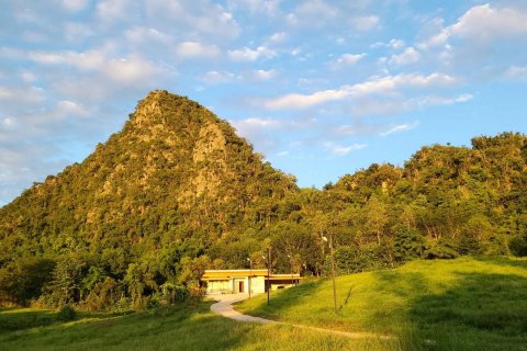 Land in Wang Saphung, Thailand 56000 sq.m. № 136919 - photo 2