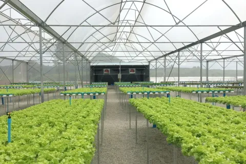 Land in Wang Saphung, Thailand 56000 sq.m. № 136919 - photo 26