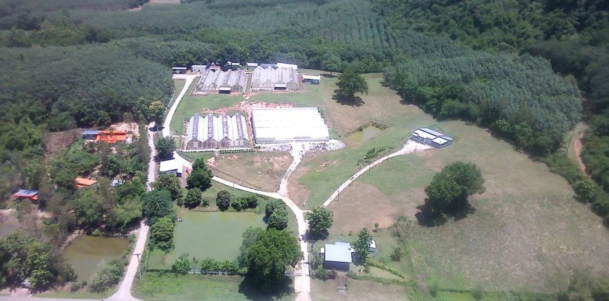 Land in Wang Saphung, Thailand 56000 sq.m. № 136919