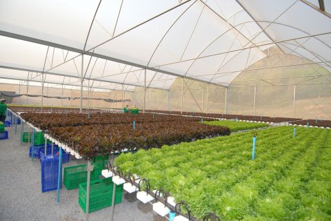 Land in Wang Saphung, Thailand 56000 sq.m. № 136919 - photo 19