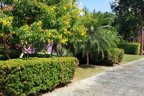 Земельный участок в Мэй Чае, Таиланд 40450м2  № 153359 - фото 8