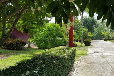 Земельный участок в Мэй Чае, Таиланд 40450м2  № 153359 - фото 2