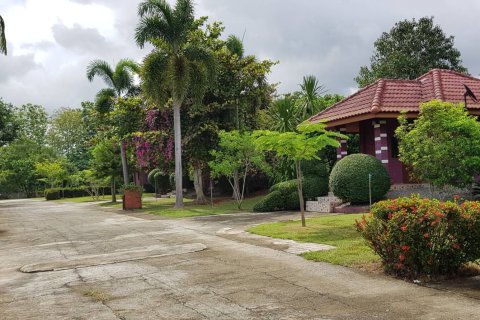 Земельный участок в Мэй Чае, Таиланд 40450м2  № 153359 - фото 13