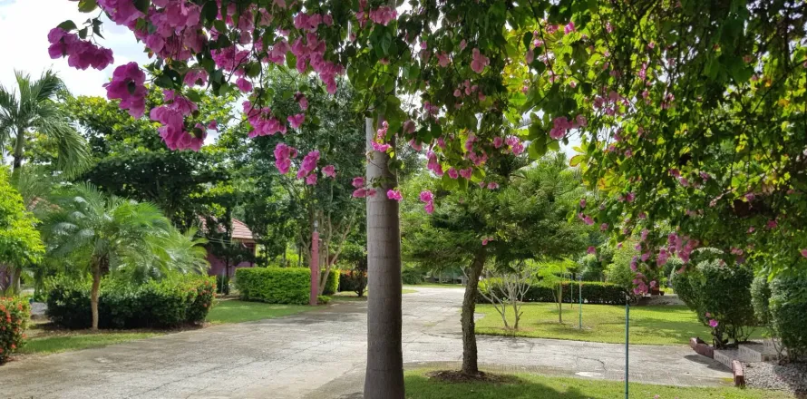 Земельный участок в Мэй Чае, Таиланд 40450м2  № 153359