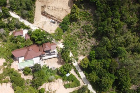 Land in Surat Thani, Thailand № 134731 - photo 10