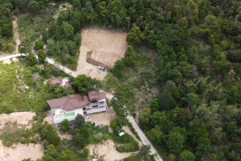 Land in Surat Thani, Thailand № 134731 - photo 8