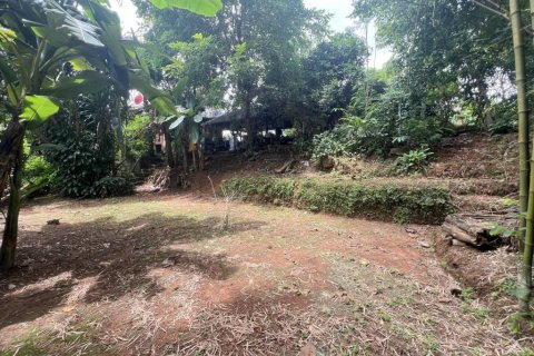 Земельный участок в Чианграе, Таиланд 110м2  № 135297 - фото 4