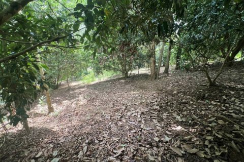 Земельный участок в Чианграе, Таиланд 110м2  № 135297 - фото 7