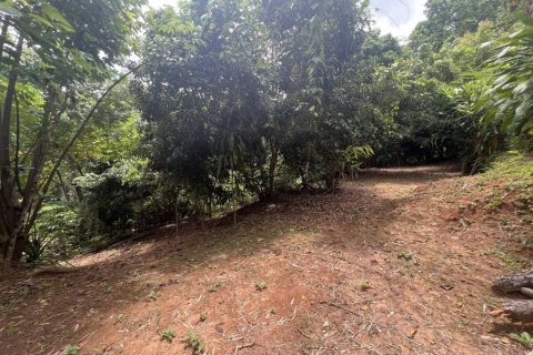 Земельный участок в Чианграе, Таиланд 110м2  № 135297 - фото 3