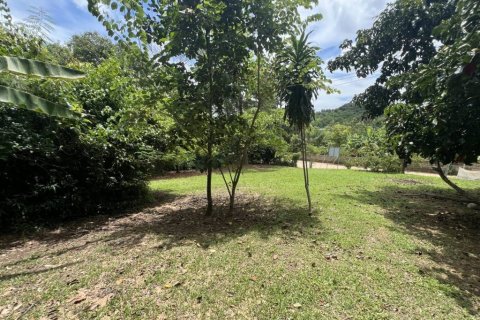 Земельный участок в Чианграе, Таиланд 110м2  № 135297 - фото 1