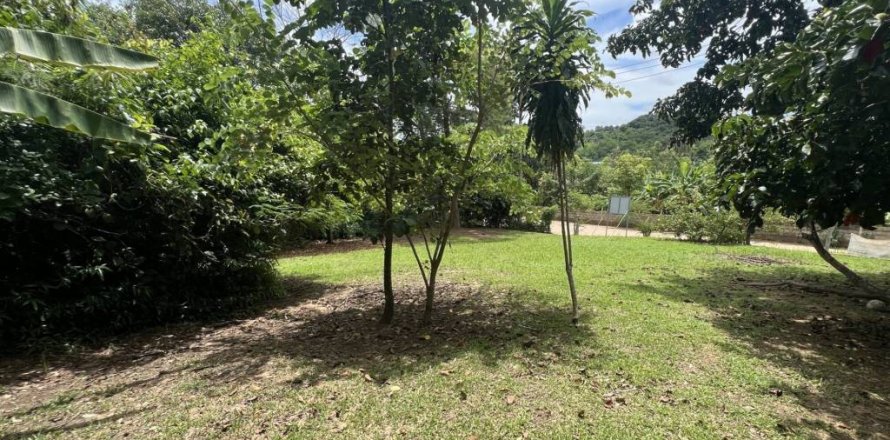 Земельный участок в Чианграе, Таиланд 110м2  № 135297