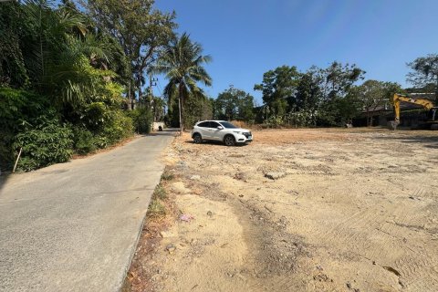 Land in Phuket, Thailand 325 sq.m. № 163168 - photo 5