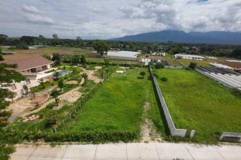 Land in Chiang Mai, Thailand № 220490