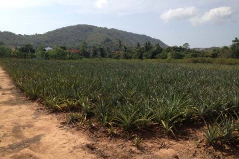 Land in Hua Hin, Thailand № 168520
