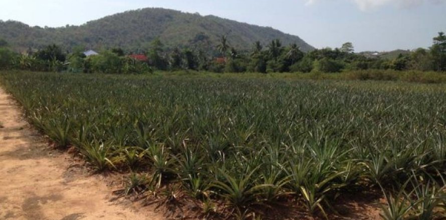 Land in Hua Hin, Thailand № 168520