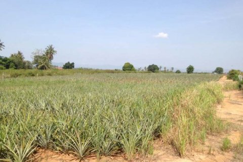 Land in Hua Hin, Thailand № 168520 - photo 8