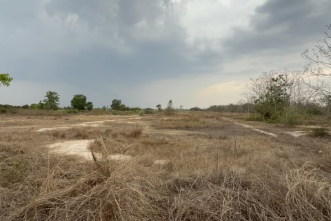 Земельный участок в Бан Тхи, Таиланд 25560м2  № 160873