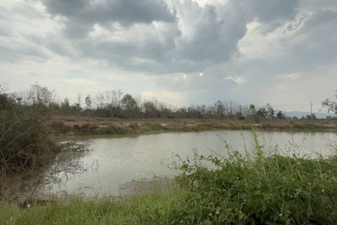 Terrain à Ban Thi, Thaïlande 25560 m2 № 160873 - photo 2