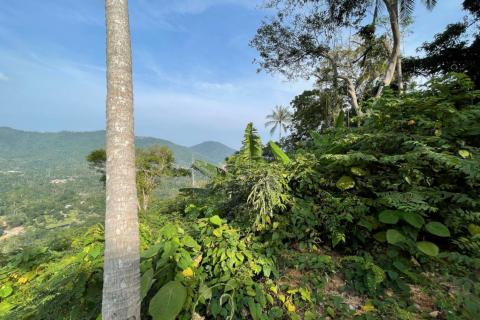 Terrain à Ko Samui, Thaïlande 19300 m2 № 160228 - photo 2