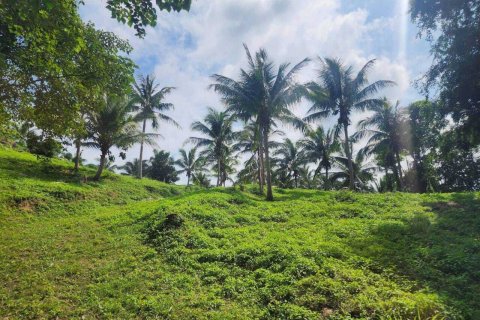 Земельный участок в Самуи, Таиланд 4000м2  № 160227 - фото 12