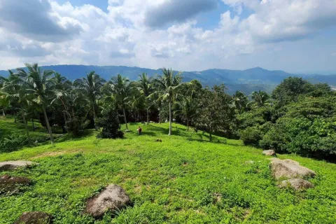 Земельный участок в Самуи, Таиланд 4000м2  № 160227 - фото 8