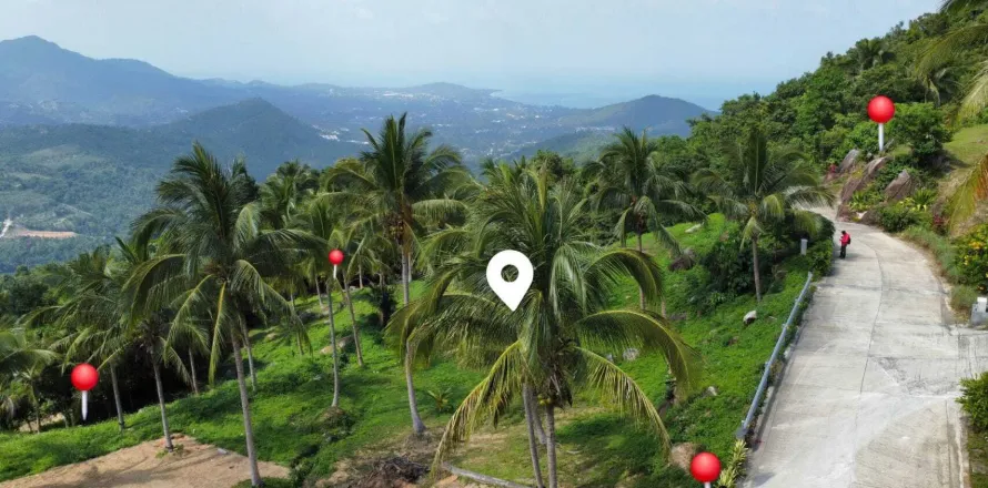 Земельный участок в Самуи, Таиланд 4000м2  № 160227