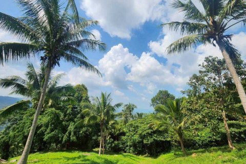 Земельный участок в Самуи, Таиланд 4000м2  № 160227 - фото 10