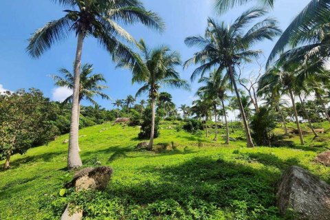 Земельный участок в Самуи, Таиланд 4000м2  № 160227 - фото 11
