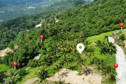 Земельный участок в Самуи, Таиланд 4000м2  № 160227 - фото 4