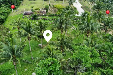 Земельный участок в Самуи, Таиланд 4000м2  № 160227 - фото 7