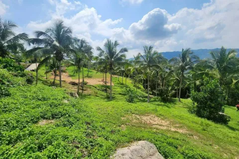 Земельный участок в Самуи, Таиланд 4000м2  № 160227 - фото 9